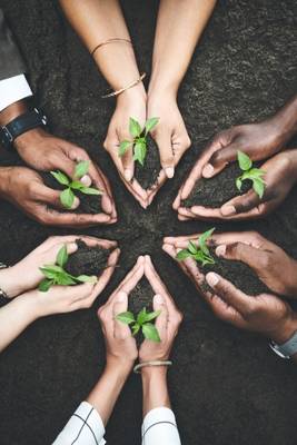 Plante symbolisant la compétitivité de l'entreprise